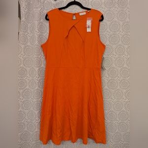 New York and Company sleeveless dress